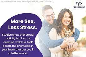 האם זה גרוע או מזיק לקיים יחסי מין כל יום ? כל מה שרצית לדעת על סקס על בסיס יומי 58 סקס ויחסי מין כל יום האם זה בריא או מזיק?